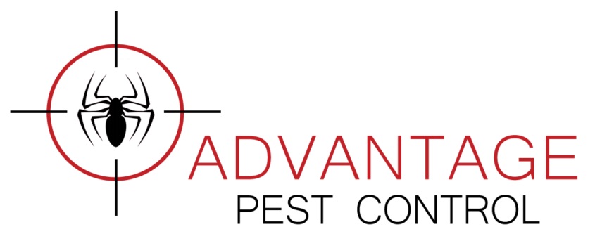 Advantage Pest Control Tor